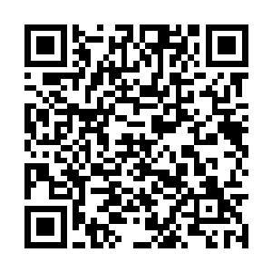 现在的天龙宗在整个修真界已经成为了超然的地位二维码生成