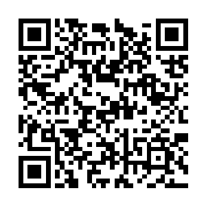 现在的宗主之位还没有落到他们这一派系的头上来二维码生成