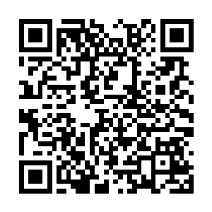 现在的巫师世界和梦境世界就好像两片平行的纸张二维码生成