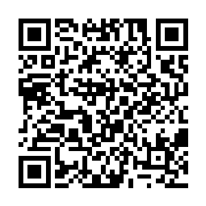 现在的帝宗长老们其实差的就是一个有机可曾的口子二维码生成