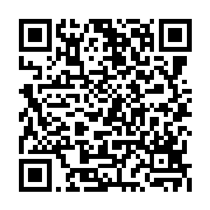 现在的当务之急我们并不是要追究太玄宗的责任二维码生成