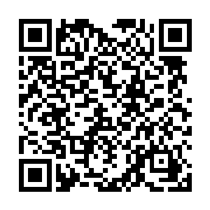现在的情况傲龙皇家魔武学院在人数上有着绝对的优势二维码生成