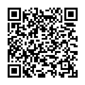 现在的我虽然暂时还没有成为昊天域界真正的领主界主二维码生成