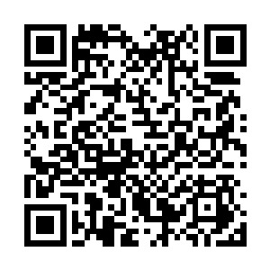 现在的时间大多数的雇佣兵都在船舱里买醉狂饮着二维码生成