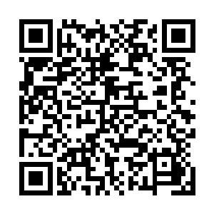 现在的星辰老祖基本上已经变成了一个建木巨妖一般的存在二维码生成