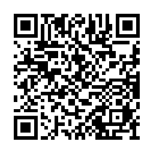 现在的杨五义再也不需要知道交易人需要什么了二维码生成