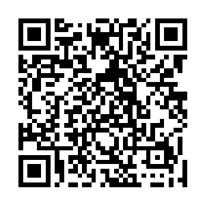 现在的欢欢妈妈脸上又开始出现那种类似于温柔的东西了二维码生成