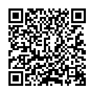 现在的河柔和河族族长是真的不知道该怎么去形容自己的心情了二维码生成