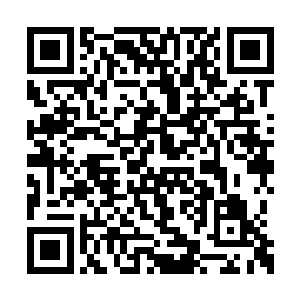 现在的洪大力是个有理想有目标有想法的败家子二维码生成