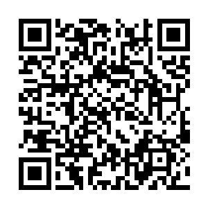 现在的状况持续下去这部剧绝对已经是大赚特赚了二维码生成