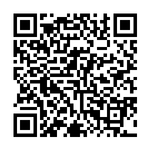 现在的环境和叶秋在华夏时面对黄埔无恨的环境又有不同二维码生成