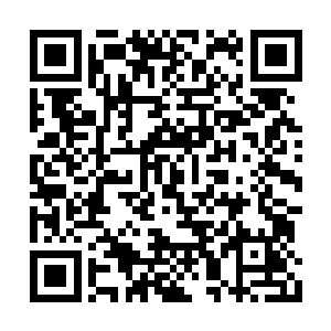 现在的苏尔特地方政府已经完全成了他们的傀儡二维码生成