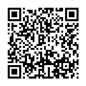 现在的血肉磨盘终于有了一门强大法术应有的气象二维码生成