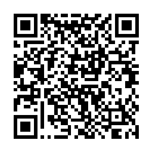 现在的袁鸿竟然已经变成了已经死去了无数年的袁洪二维码生成
