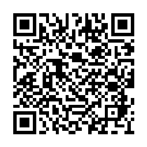 现在的青洲城就处于这么一个山雨欲来的气氛中二维码生成