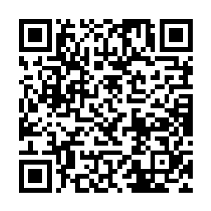 现在的青蛟一族可是已经成为了整个圣龙宇宙的新贵二维码生成