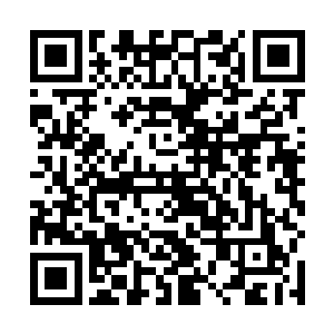 现在的龙傲天就仿佛一个乞丐一下子捡到了一百万一般二维码生成