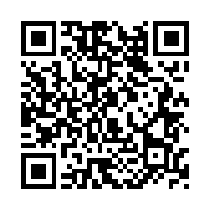 现在看到这些高手已经不是土狼能够对付的了二维码生成
