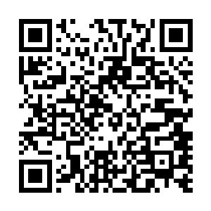 现在看来今天大家都是憋足了劲儿来抢大间町的这几条鱼了二维码生成