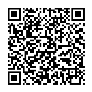 现在看来巨熊这个级别的怪物应该就是这个岛上最厉害的生物之一了二维码生成