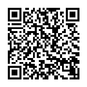 现在看来或许第一天就可以从一千人选择出五十人了二维码生成