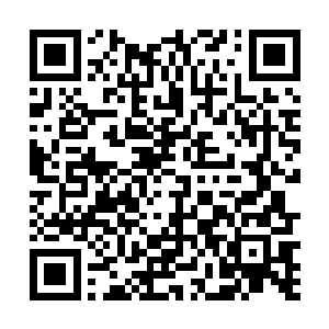 现在看着秦彪正举着一根粗大的钢管像疯狗般跑了过来二维码生成