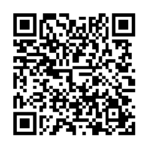 现在看起来应该反而压制住了这雾隐山河阵的运行二维码生成