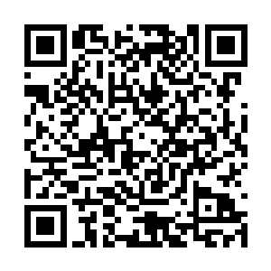 现在眼前的队伍非但不见减少反而有越来长的趋势二维码生成