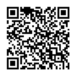 现在神使对咱们擅自把这些修真者转移出去很是不满二维码生成