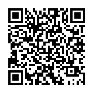 现在突然出现的这个地级大圆满高手肯定不好对付二维码生成