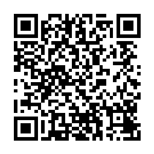 现在竟然被龙傲天硬生生的挂了两个搞惨了一个二维码生成