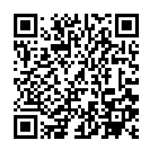 现在紫霞仙子脑子里面没有丝毫和林烽在一起的记忆二维码生成