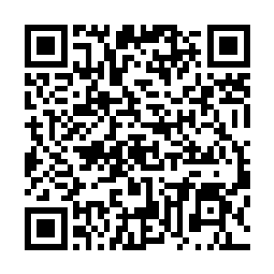 现在紫青剑灵对天空圣师那样的强者构成的威胁已经不大了二维码生成