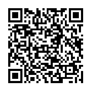 现在红戈落雪终于知道夏天为什么一点都不怕他了二维码生成