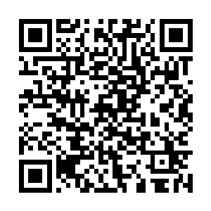 现在终于可以打开这个盒子看看里面是什么东西了二维码生成