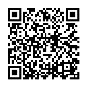 现在终于有机会了……让我看看你如何震惊世人的吧二维码生成