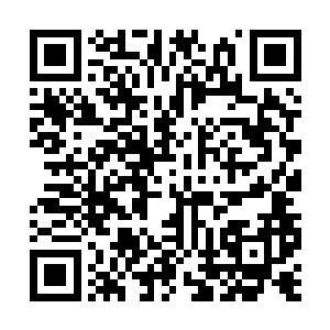 现在给你们最后三分钟时间考虑要不要留下来训练二维码生成