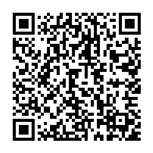 现在绿草门和阵地门的所有长老都是全心全意的在交手每一个弟子二维码生成