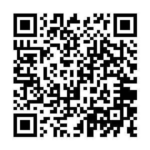 现在老峰在广东一手打造了一支新的苍狼――啸虎营二维码生成