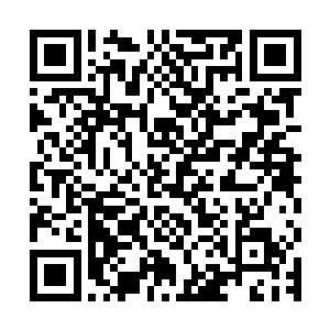 现在老朽还真的很好奇这里面到底能够孕育出什么逆天的存在了二维码生成