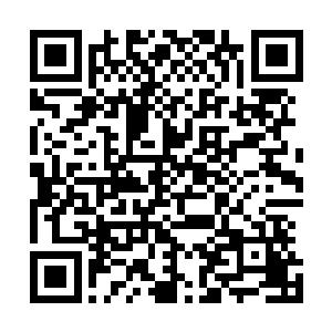 现在联邦政府在国际上几乎没有那个国家不会给他一个面子二维码生成