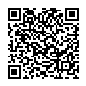 现在能做胚胎分割的依然只有谷强在内的少数几个人二维码生成