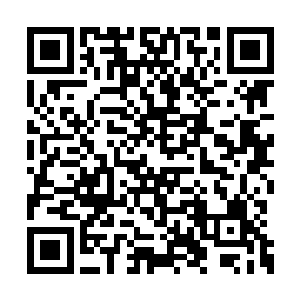 现在能将这个人类杀死才是两大妖兽最想做的事二维码生成