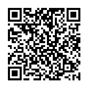现在自己手下的一条狗居然敢去做自己想要做的事情二维码生成