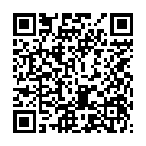 现在苏姑娘这样打小郡主……这是天要塌下来了啊二维码生成