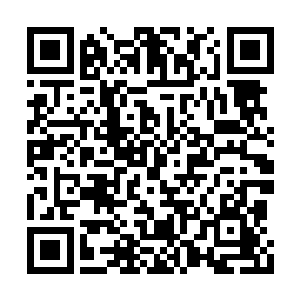 现在药材种植依托昌南中药材市场已经初见成效二维码生成