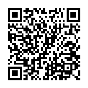 现在蒙恬已经从开始的半信半疑变得全身心投入二维码生成