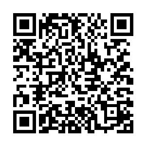 现在薇薇公主又……虽然我们都知道这件事不是真的二维码生成