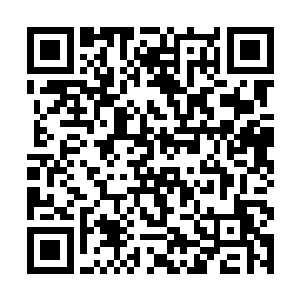 现在血云棺能量因为给我冲击入道后期吸的差不多了二维码生成