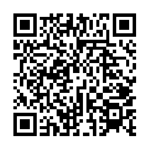 现在被抓住的三人吐露这里的可能性……不大但还是有二维码生成